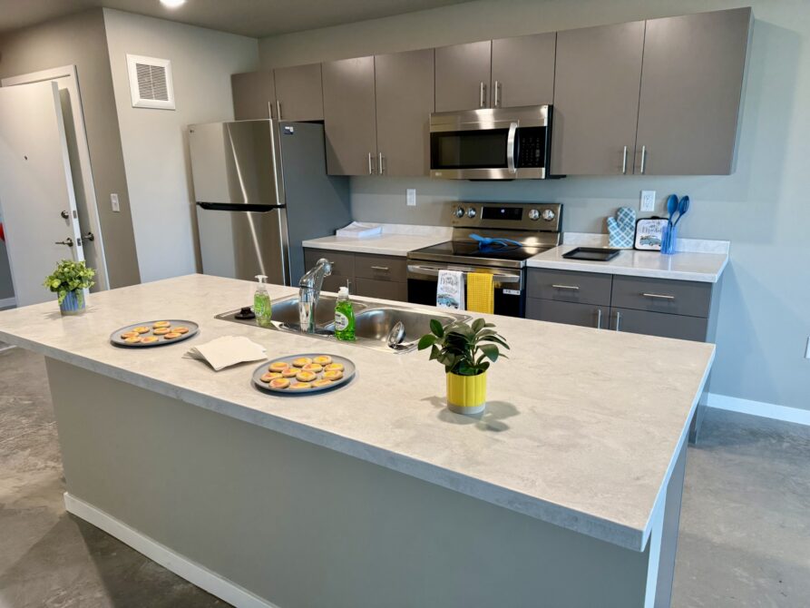 Modern kitchen with cookies on island counter, stainless steel appliances, and gray cabinets