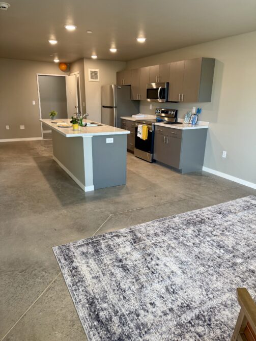 Modern kitchen with gray cabinets, stainless steel appliances, and central island. Gray rug on concrete floor.