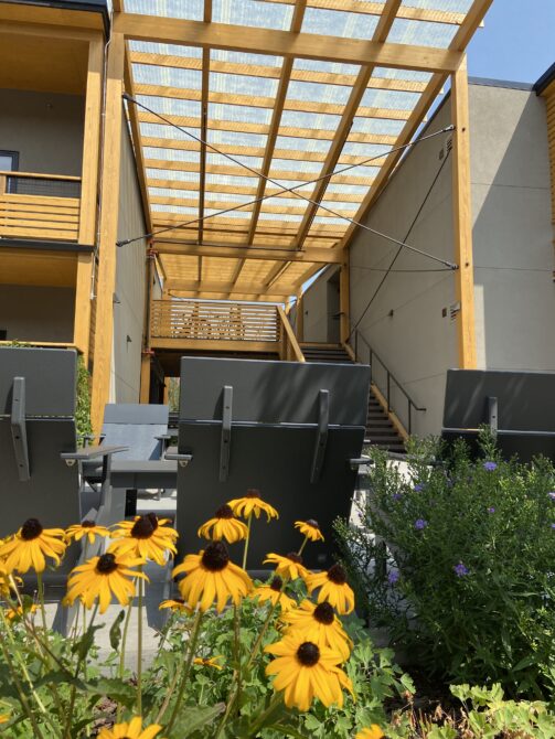 Yellow daisies in foreground, modern building patio with wooden pergola and lounge chairs in background.