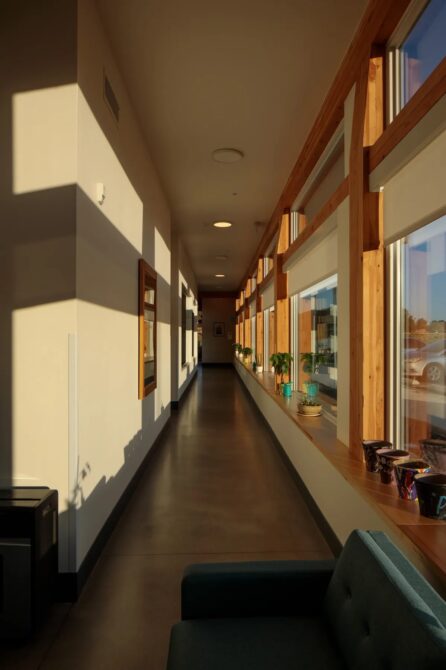 Sunlit hallway with large windows, potted plants, and shadows creating a warm, inviting atmosphere.