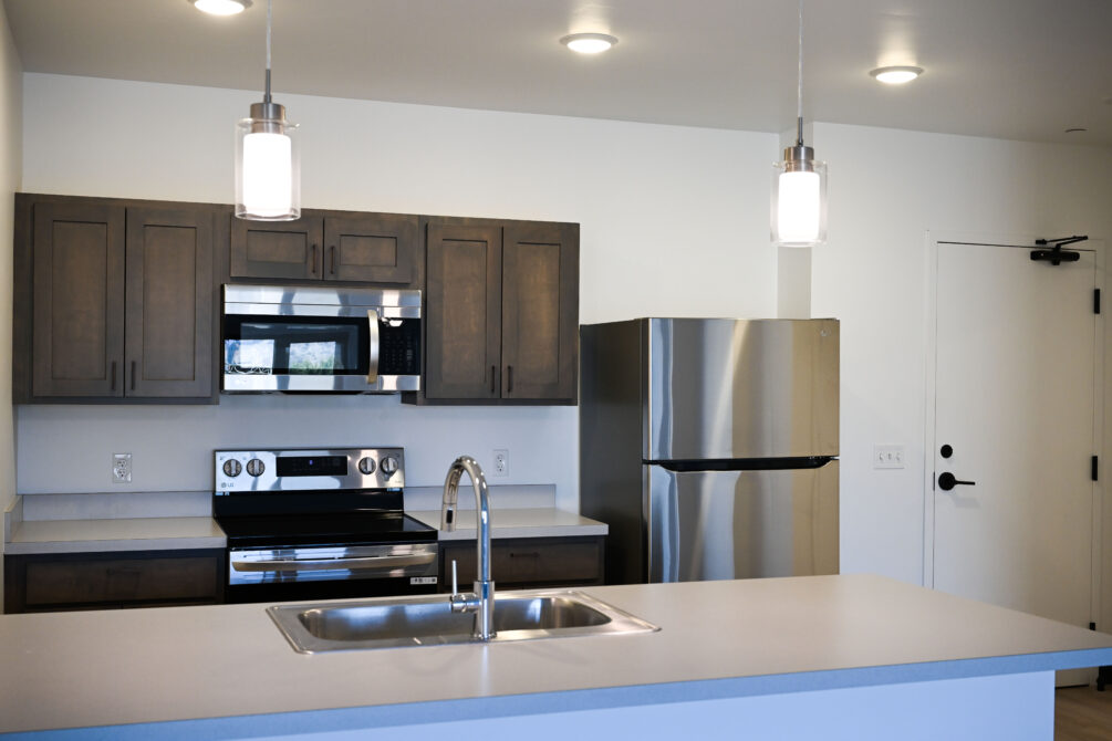 Modern kitchen with stainless steel appliances and pendant lighting above a countertop.