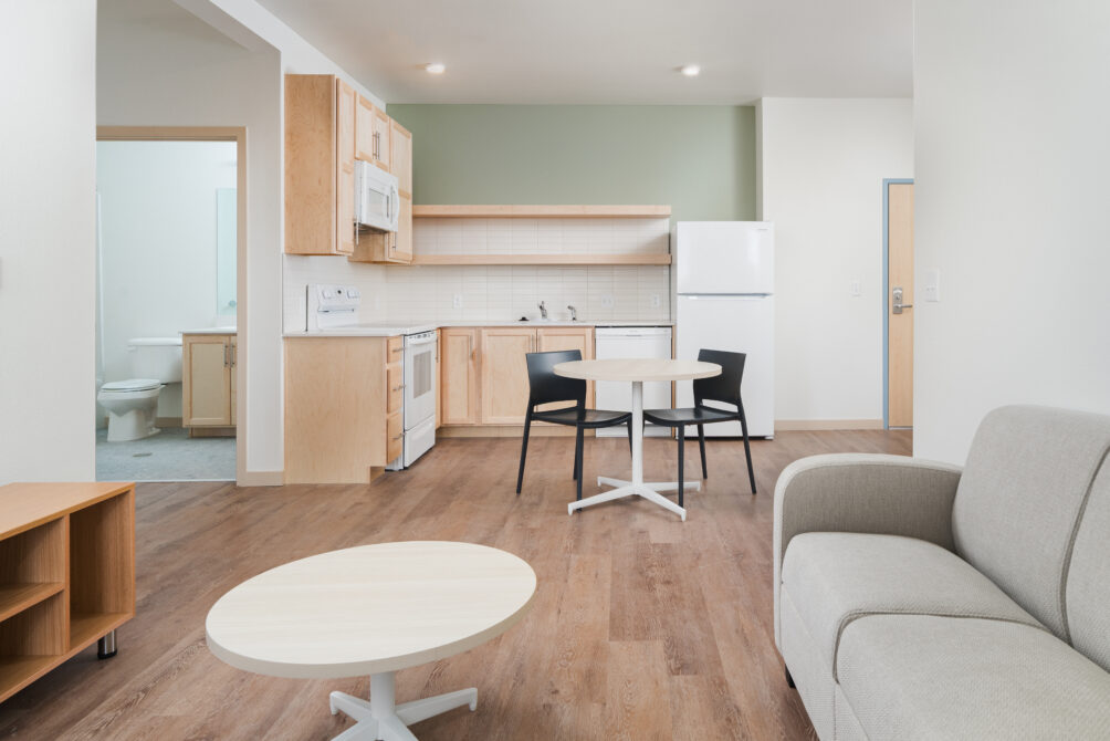 Modern living room and kitchen with wood flooring, light cabinetry, and minimalistic furniture.